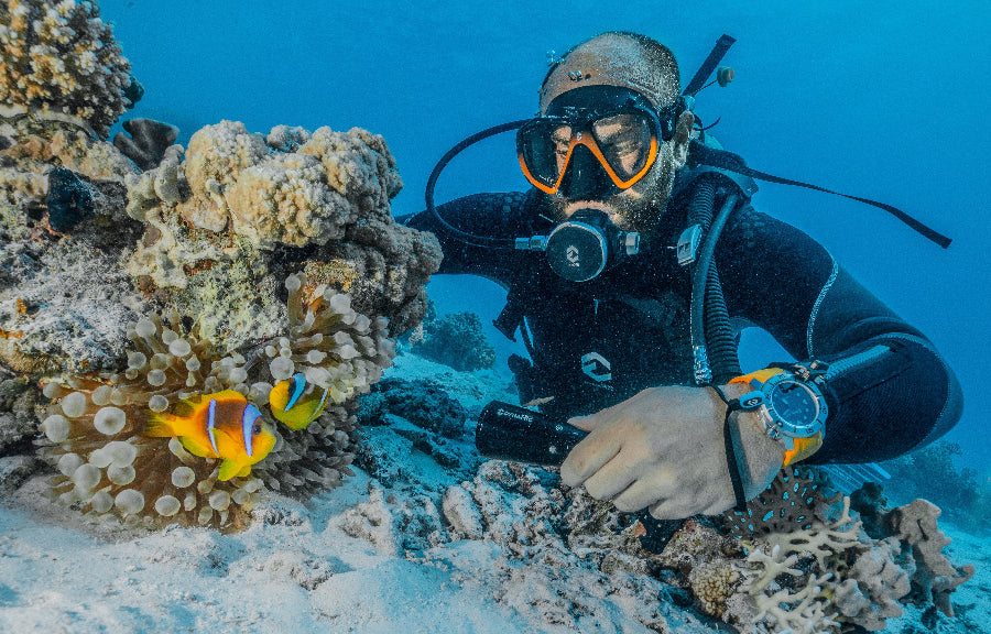 Diver wearing DynamicNord dive equipment. 
